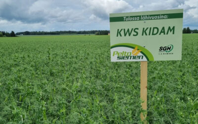 S.G. Niemiseltä kaksi uutta lajiketta kasvilajikeluetteloon